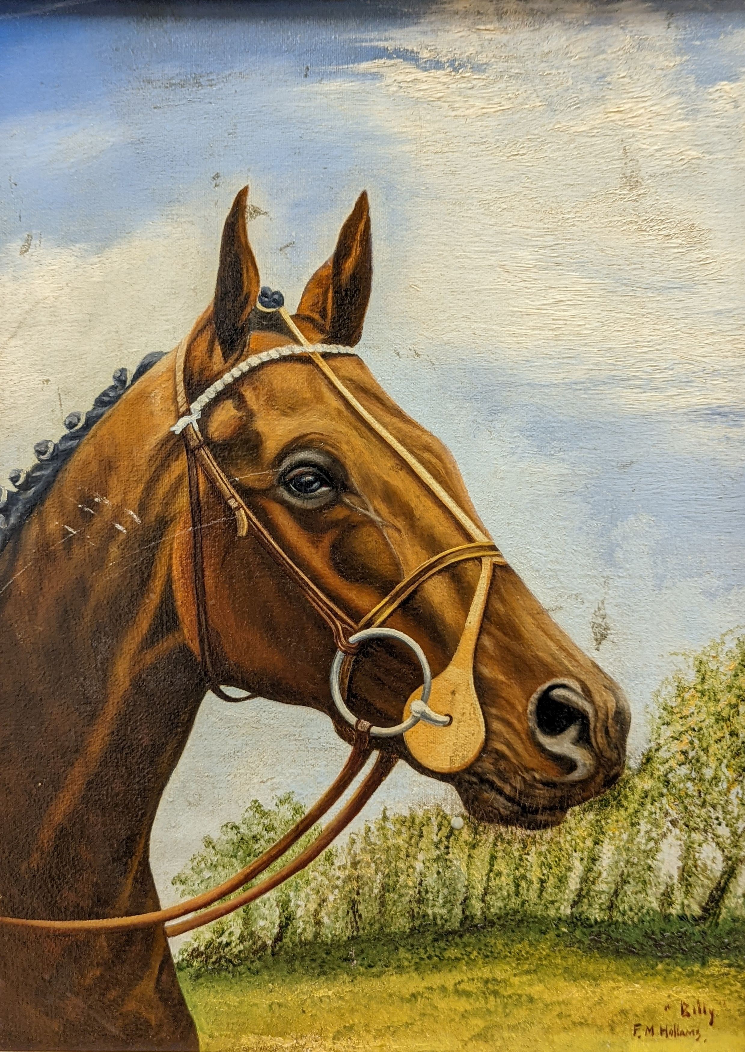 After Mabel Hollams, oil on board, Study of a horse 'Billy', bears signature, 52 x 39cm